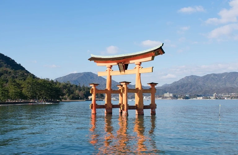 広島市での保険選びに迷ったらこちらをチェック！ライフステージに合わせたアドバイスで確かな安心を